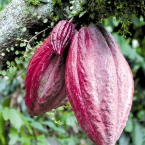 Productores y estudiantes